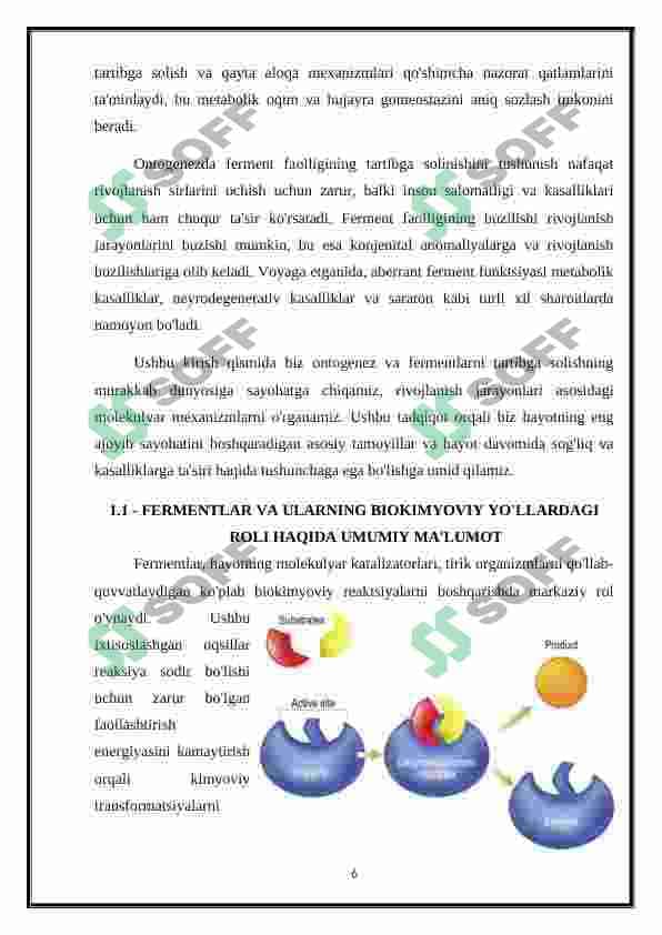 Ontogenezda fermentlar faolligini boshqarilishining ahamiyati. Nasliy fermentopatiyalar 6