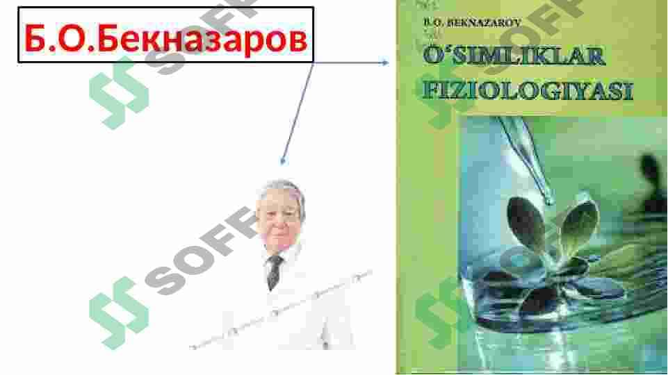 O`zbek olimlarining bugungi kunda O`simliklar fiziologiyasi sohasida oib borayotgan ilmiy tadqiqot ishlari va ularning natijalarini tahlil qilish 6
