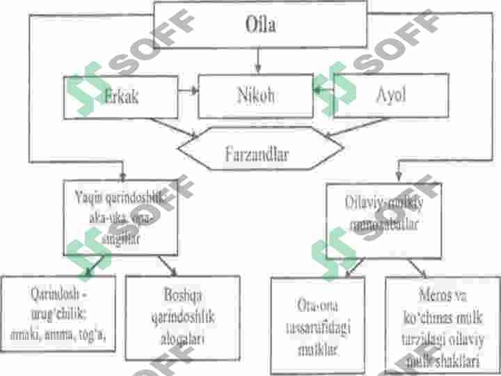 Oilaning vujudga kelishi va rivojlanishi 6