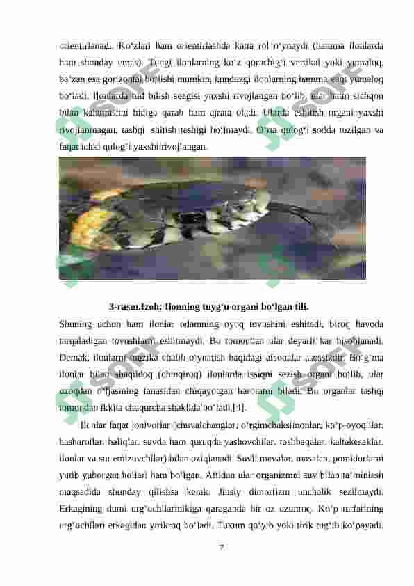 O’ZBEKISTON HUDUDIDA TARQALGAN ZAHARLI ILONLAR 6