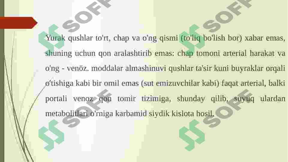 Qushlarning yurak qon tomirlari fiziologiyasi 6