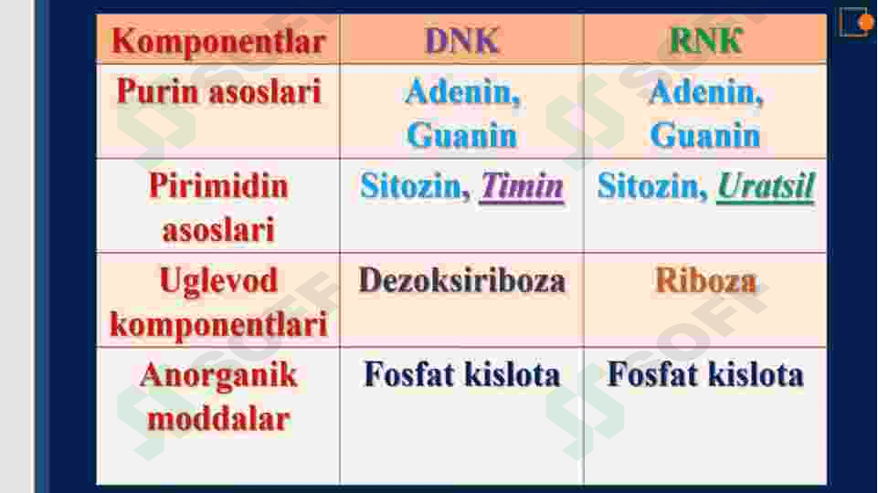 Nuklein kislotalar 6