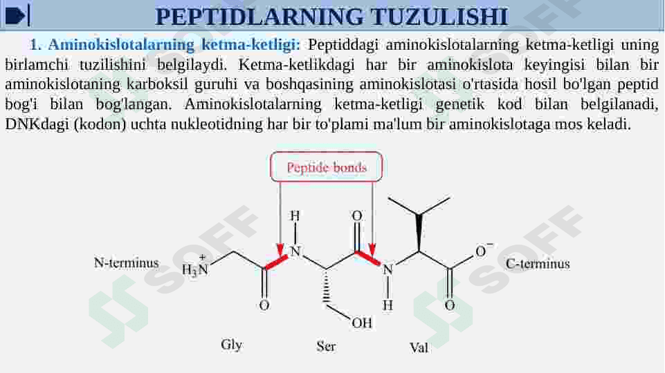 Oqsil tabiatli peptid va gormonlar. Proteinopatiyalar 6