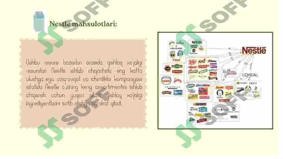 Loyiha "Nestle" kompaniyasi haqida 6