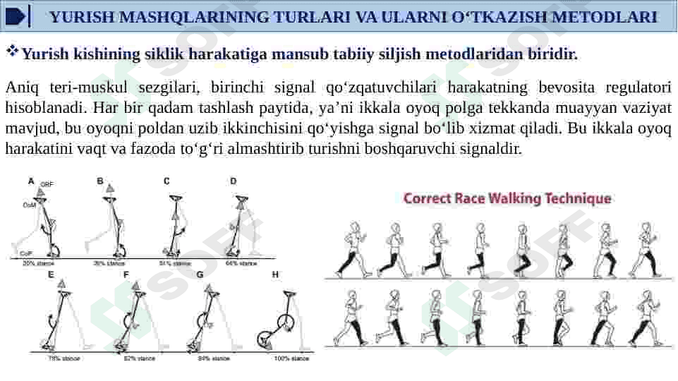 Maktabgacha yoshdagi bolalarni  asosiy harakatlarga o‘rgatish metodikasi 6