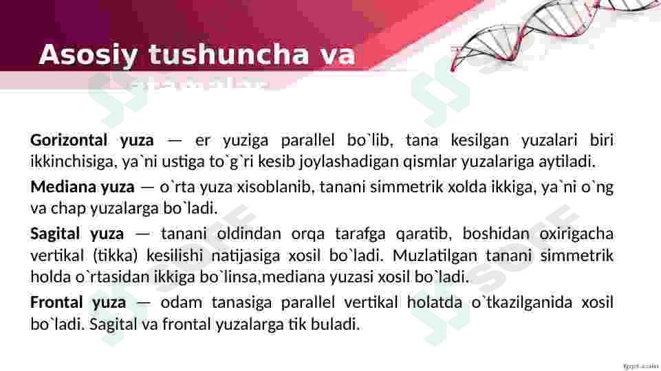 Odam anatomiyasi va fiziologiyasi. 6