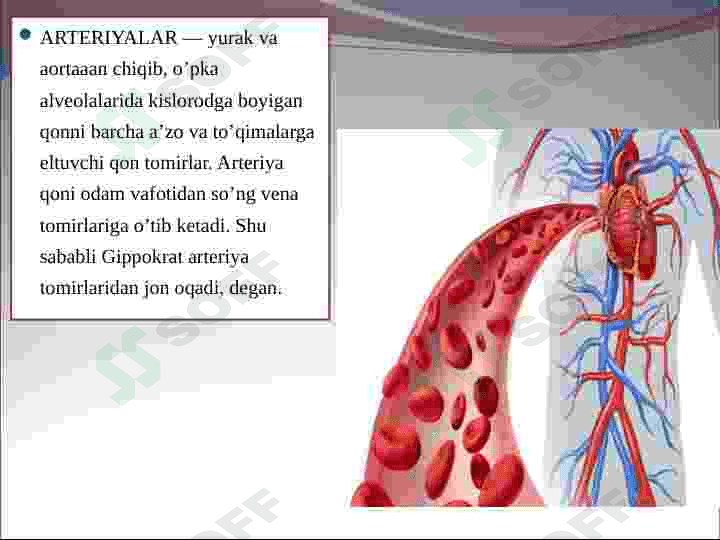Yurak,Periferik qon aylanishi va uning kasalliklari 6