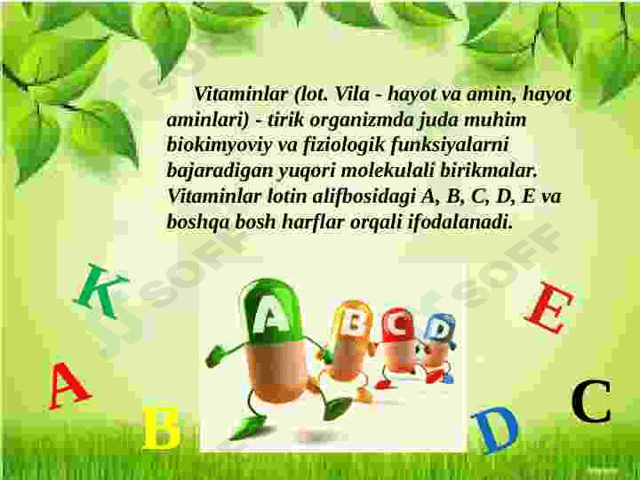 Vitaminlar va ularning ahamiyati 6