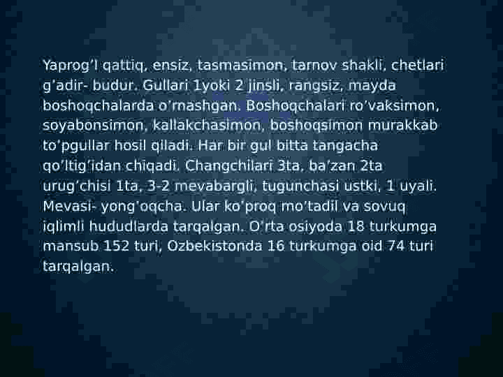 Hilolnamolar oilasi 6