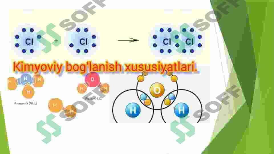 Sitoplazma uning zamonaviy modeli  vakuola,plastida,mitoxondriya,Ribosoma,peroksisoma,Lizosoma,endoplazmatik tor Golji apparati 7