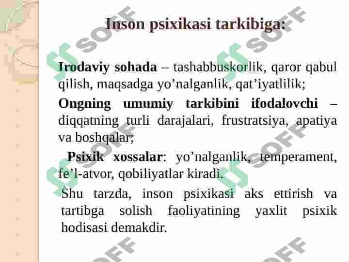 Insonda aks ettirish darajalari 7
