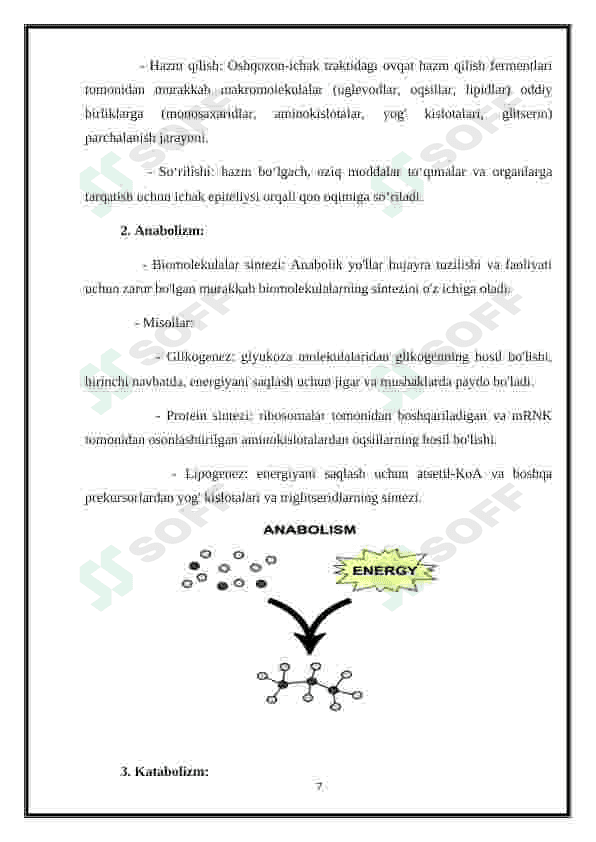 Metabolizm jarayonida energiya hosil bo'lishi va sarflanishi 7