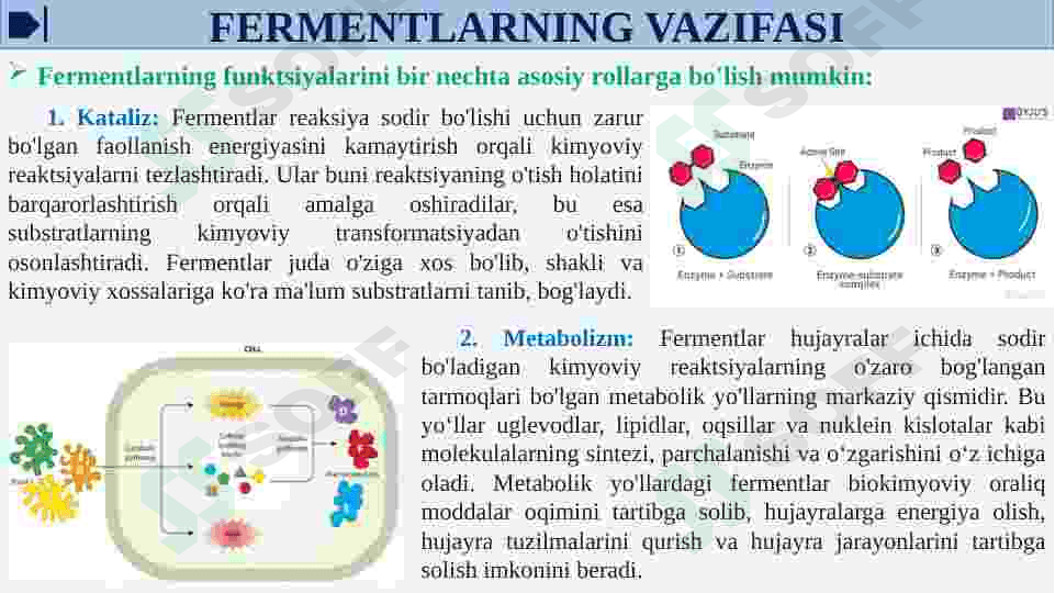 Fermentlar faolligini oshqozon kislotaliligini gipoatsid va giperatsid xolatlarda o’zgarishi va tiklash choralari 7