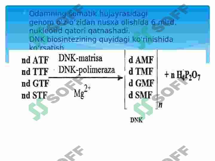 Replikatsiya turlari va uning oʻtishi uchun zarur shar 7