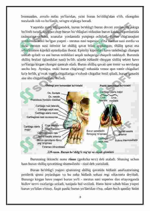 Nafas olish sistemasi 7