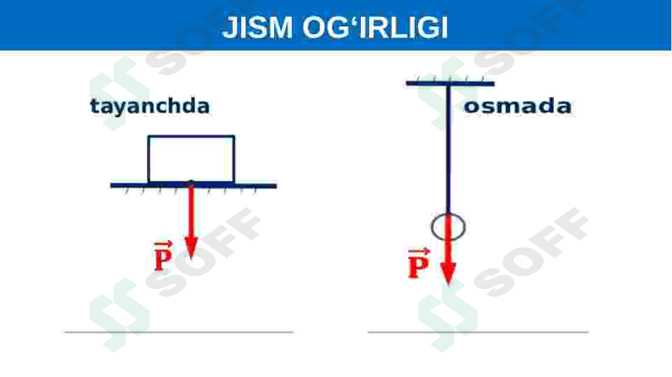 Jismning og'irligi 7