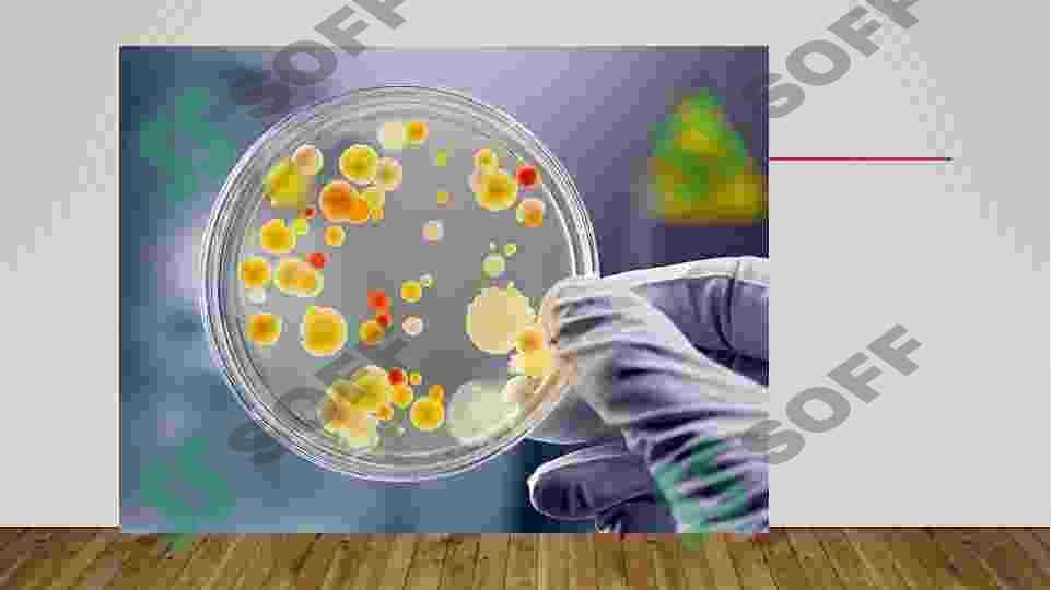 Mikrobiologiya tadqiqotlarining asosiy usullari 7