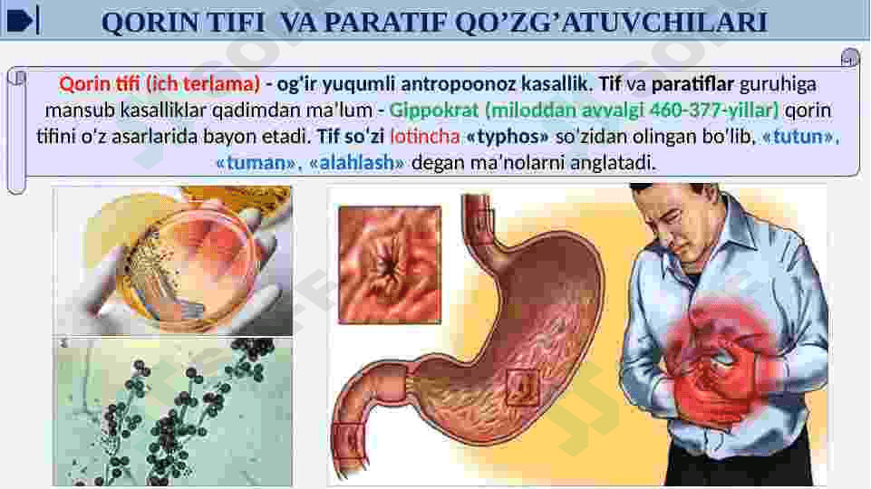 QORIN TIFI VA PARATIF A VA B QO’ZG’ATUVCHILARI KELTIRIB CHIQARADIGAN KASALLIKLAR. ULARNING TASNIFI VA LABORATORIYA TASHXISI. 7