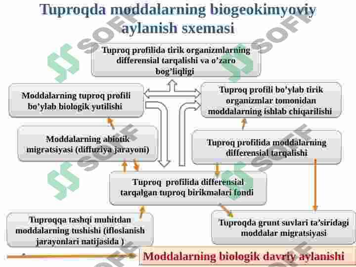 Tuproqning kelib chiqishi . Nurash jarayonlari va moddalarning katta geologik aylanishi 7