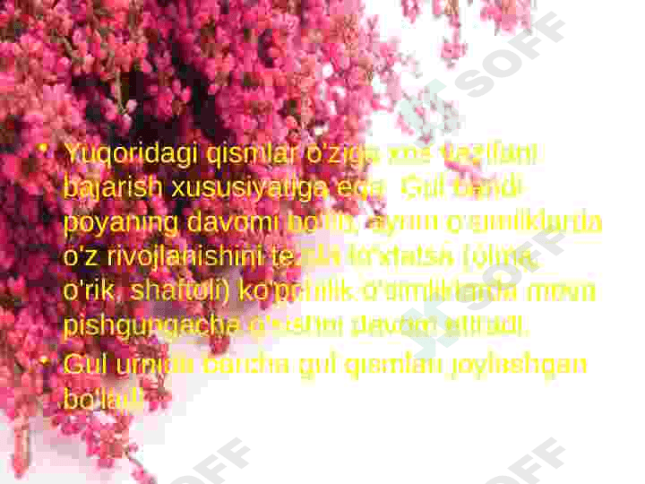 Gul va uning turlari 7