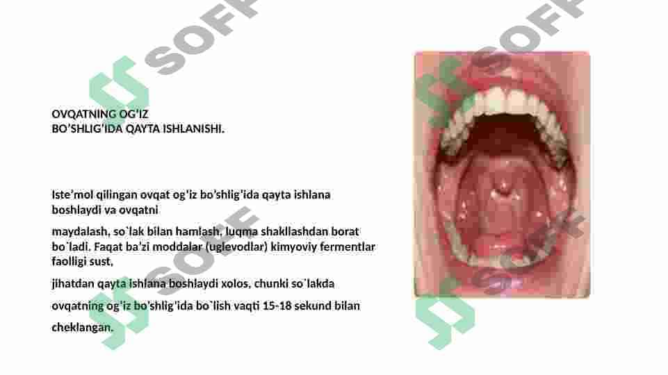 HAZM VA UNING TURLARI.OGʻIZ BOʻSHLIGʻI VA ME’DADA OVQAT HAZM BOʻLISHI .INGICHKA VA YOʻGʻON ICHAKDA OVQAT HAZM BOʻLISHI 7