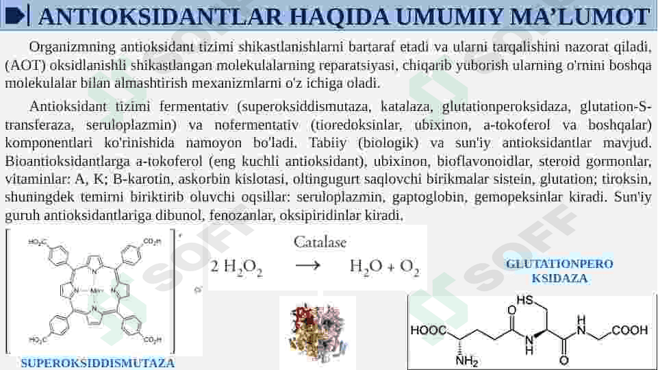 ANTIOKSIDANTLAR. ULARNING KLINIKADA QO'LLANILISHI 7