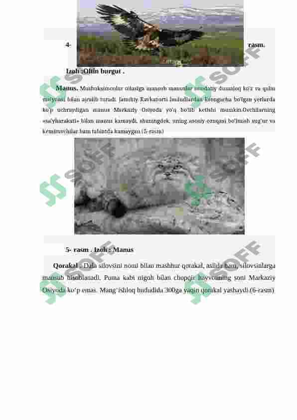 Noyob va yo'qolib borayogan hayvonlarni asrashga qaratilgan dastur va loyihalar 7