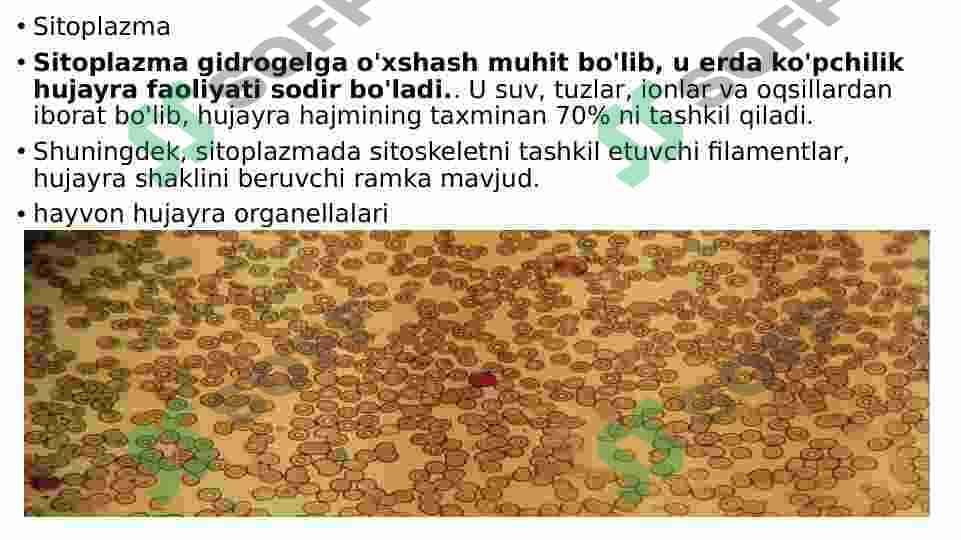 2-Oʻsimlik va hayvon hujayralarining oʻziga xos hususiyatlari 7