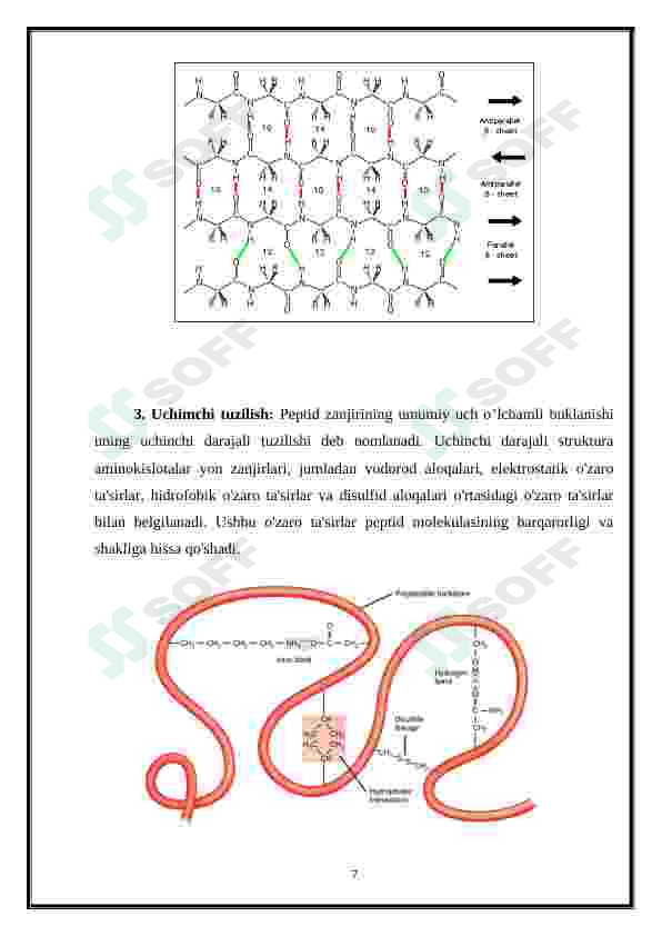 Oqsil tabiatli peptid va gormonlar. Proteinopatiyalar 7
