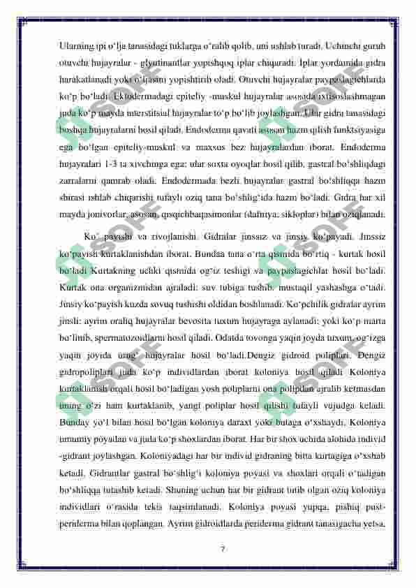 Birlamchi va ikkilamchi og’izlilar- hayvonlar evolyutsiyasining ikki yo’nalish 7