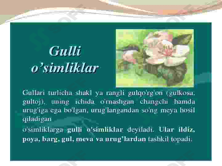 Gulli oʻsimliklarni kelib chiqishi 7