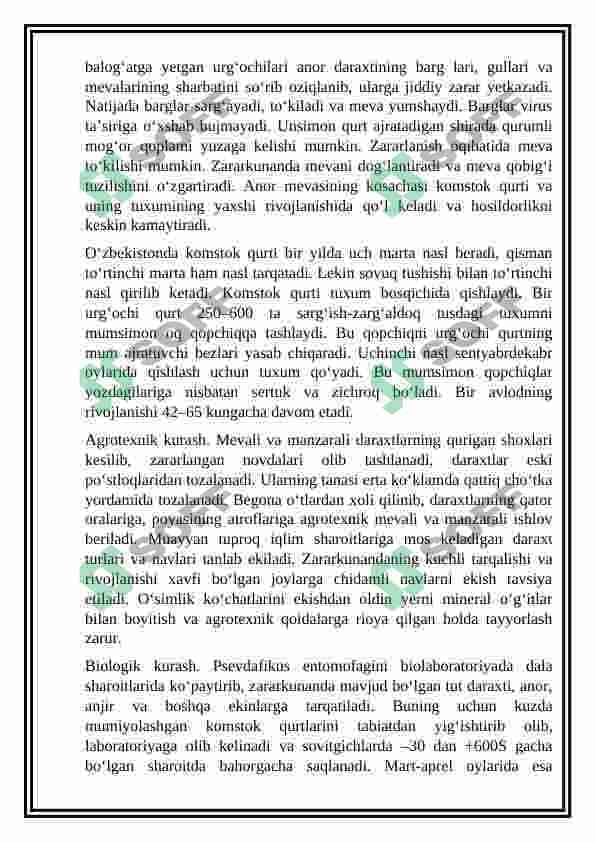 Anor mahsulotini berilgan variant uchun kurs ishini ishlash va Anor mevasini unumdorligini hisoblash 7