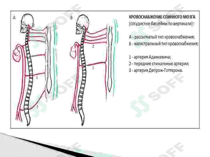 Orqa miyada qon aylanishning buzilishi. 7