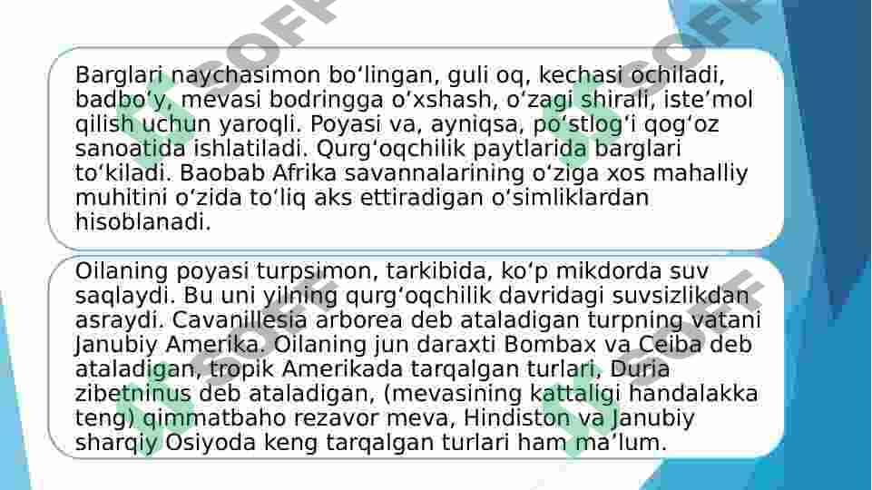 Gulxayridoshlar oilasi vakillarining tuzilishidagi o‘ziga xos xususiyatlar 7