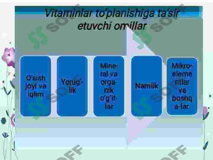 Vitamin saqlovchi dorivor oʻsimliklar 7