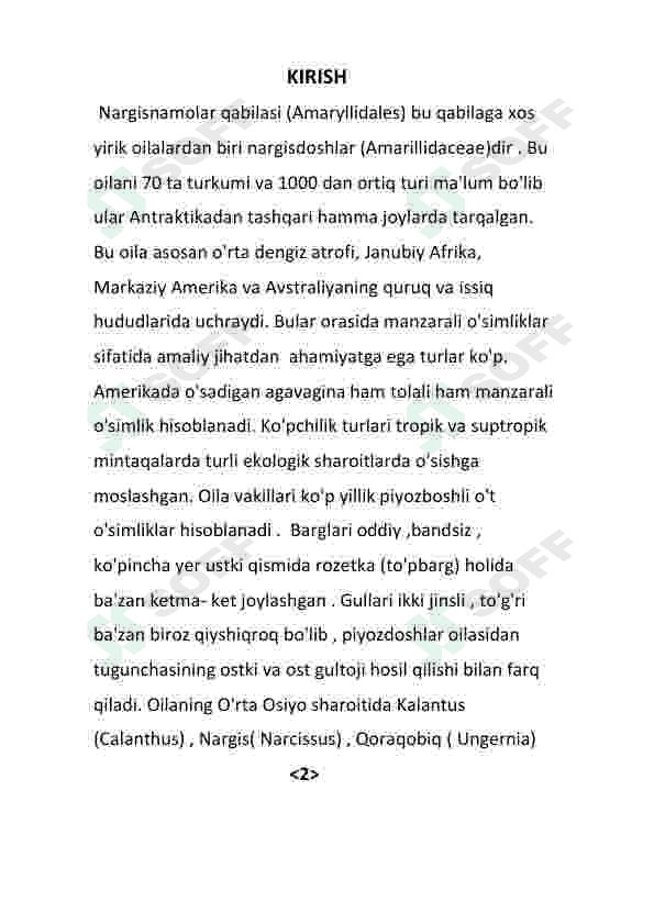 Nargisnamolar qabilasi 7