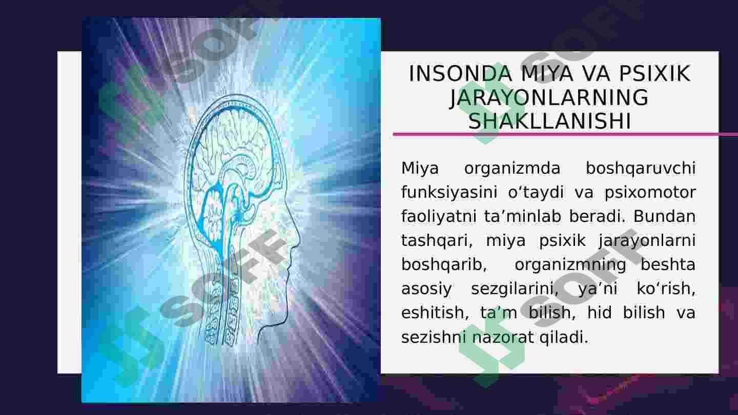 Miya va psixikaning o’zaro munosabat muammolari 7