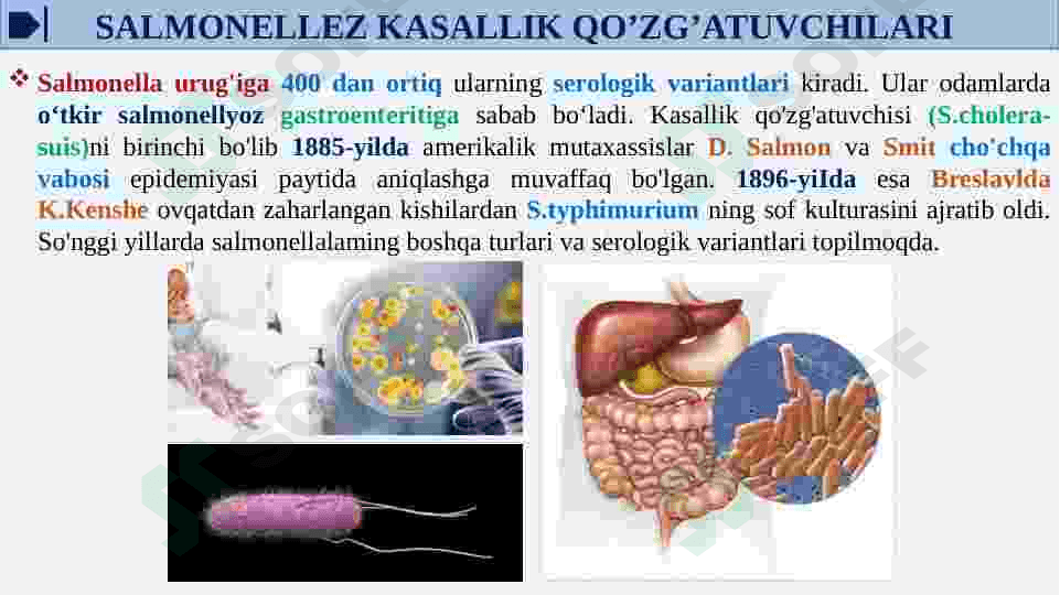 OVQATDAN ZAHARLANISH YUQUMLI KASALLIK QO’ZG’ATUVCHILARI. SALMONELLEZ VA BOTULIZM KASALLIK QO’ZG’ATUVCHILARI LABARATOR TASHXISI. 7