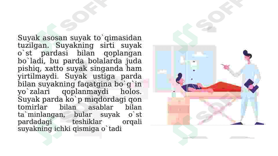 YOSH FIZIOLOGIYASI VA GIGIENASI 7