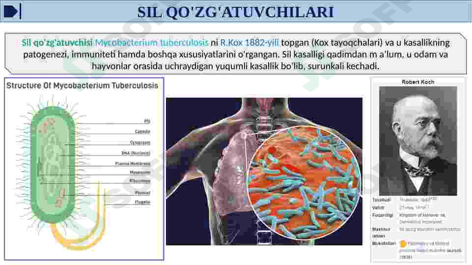HAVO TOMCHI YUQUMLI KASALLIK QO'ZG'ATUVCHILARI, SIL, BO'G'MA, KO'K YO'TAL KASALIKLARINI LABORATORIYA TASHXISI. 7
