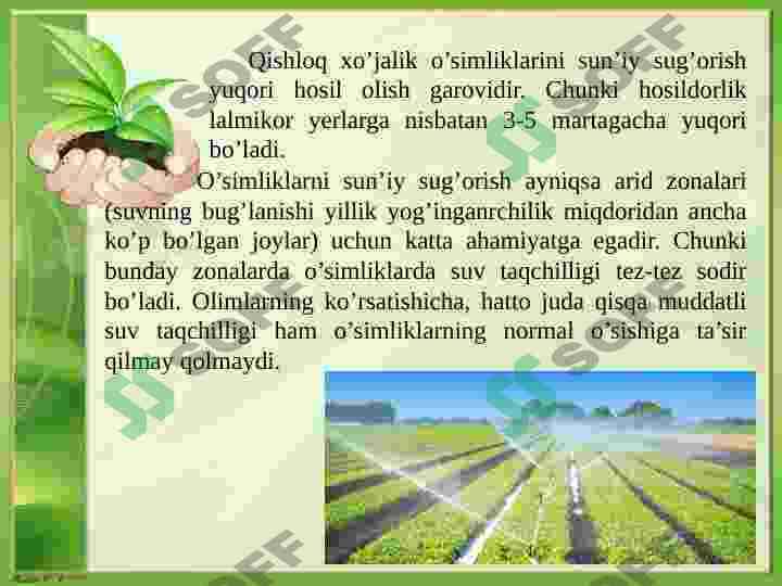 O’simliklarni sug’orish fiziologiyasi va istiqbollari 8