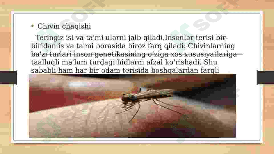 Ikki qanotlilar turkumi haqida. 8