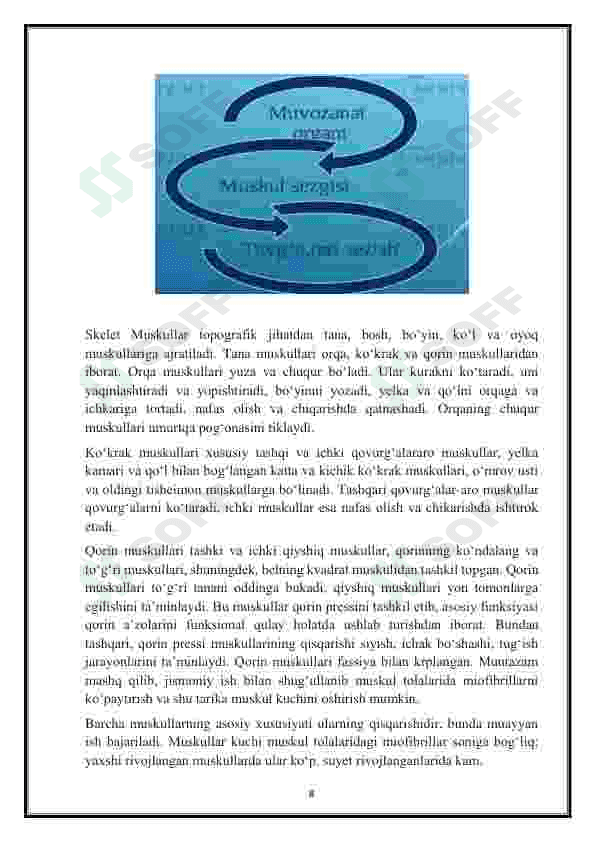 Muvozanatni saqlash muskullarning sezishi va tuyg`u organlari. 8