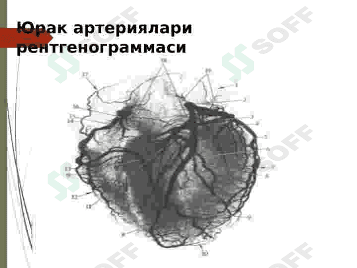 YURAKNI TEKSHIRISH USULLARI 8