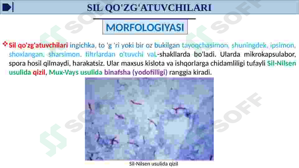 HAVO TOMCHI YUQUMLI KASALLIK QO'ZG'ATUVCHILARI, SIL, BO'G'MA, KO'K YO'TAL KASALIKLARINI LABORATORIYA TASHXISI. 8