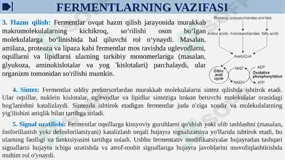 Fermentlar faolligini oshqozon kislotaliligini gipoatsid va giperatsid xolatlarda o’zgarishi va tiklash choralari 8