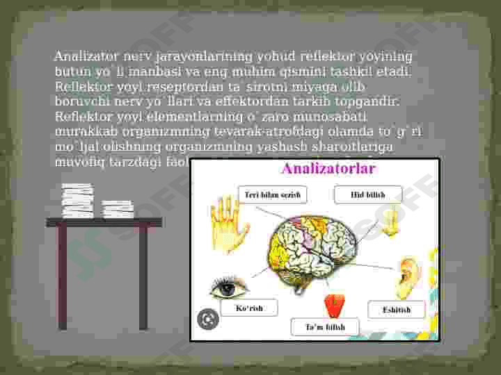 Sezgi va idrokning psixologik mohiyati, fiziologiyasi 8