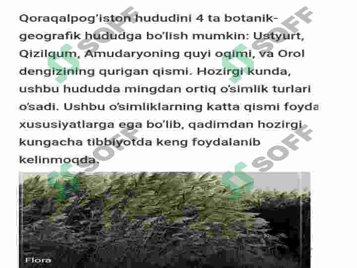 O'zbekiston va Qoraqalpog'iston florasini o'rganilish tarixi slayd 8