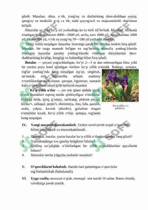 5-sinf botanika konspekt 8