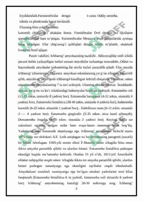 Muskul va nerv sistemasi rivojlanmagan hayvonlar 8